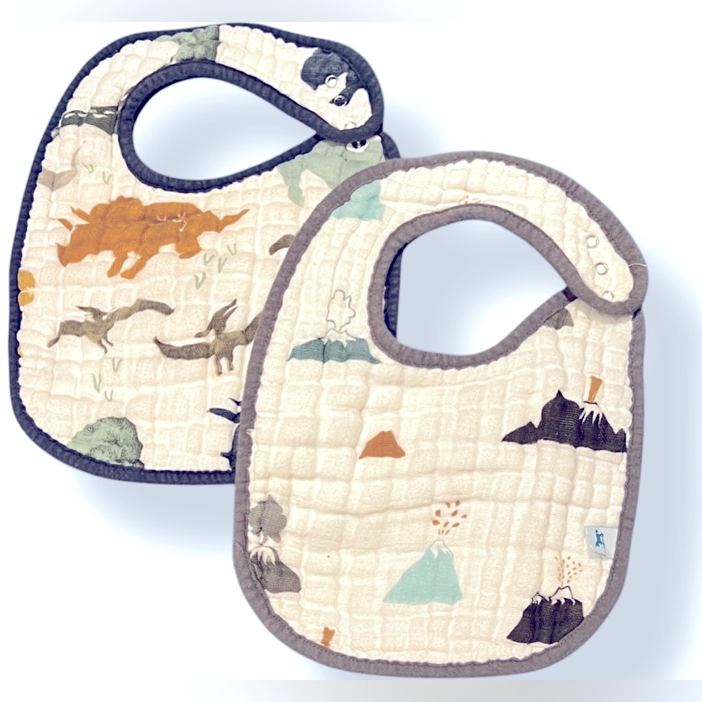EUC Baby Bibs (2)